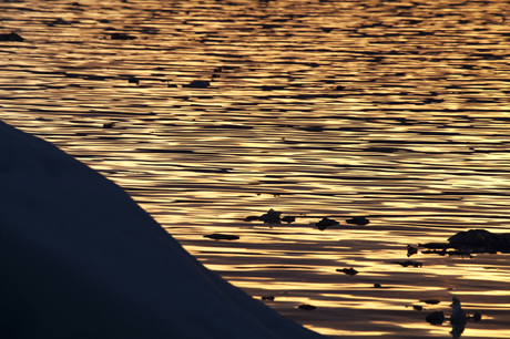 the sound of ice melting I